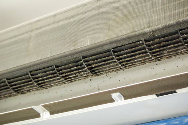 Best Commercial Air Duct Cleaning  in Belford, NJ